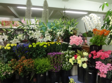群馬県桐生市の花屋 にしはらにフラワーギフトはお任せください 当店は 安心と信頼の花キューピット加盟店です 花キューピットタウン